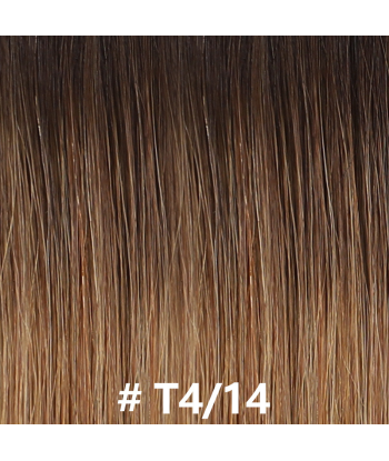 Extensions Adhesives / tapes stive Premium Russian Hair T4/14 Amélioration de cerveau avec