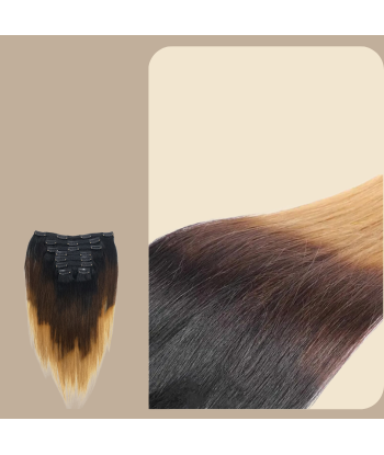 Straight Ombre Brown Chocolate Blonde Clip-In Extensions Kit 120 gr une grave pollution 