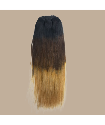 Straight Ombre Brown Chocolate Blonde Clip-In Extensions Kit 120 gr une grave pollution 