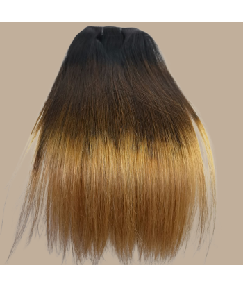 Straight Ombre Brown Chocolate Blonde Clip-In Extensions Kit 120 gr une grave pollution 