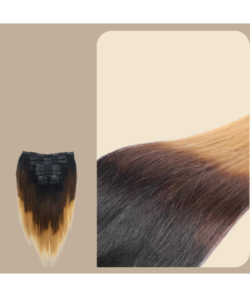 Straight Ombre Bruin Chocolade Blond Clip-In Extensions Kit 120 gr Les magasins à Paris et en Île-de-France