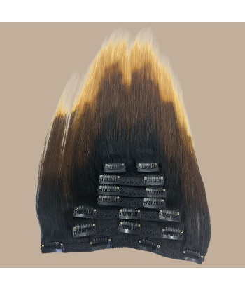 Straight Ombre Bruin Chocolade Blond Clip-In Extensions Kit 120 gr Les magasins à Paris et en Île-de-France