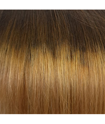 Straight Ombre Bruin Chocolade Blond Clip-In Extensions Kit 120 gr Les magasins à Paris et en Île-de-France