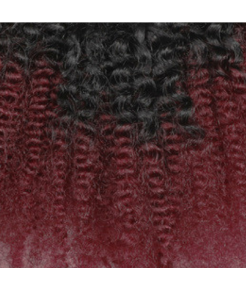 Kit Extensions à Clips Afro Curly Ombre Ombre Brun Foncé 99J 120 gr l'évolution des habitudes 