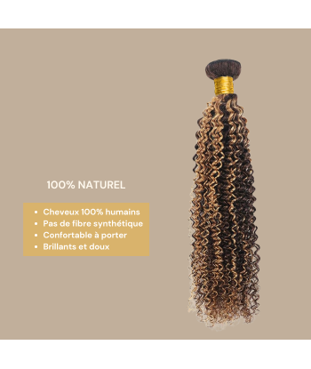 Tissage Cheveux Vierge Human Hair Kinky Curly 7A Chatain Méché Blond P4/27 100 Gr du meilleur 