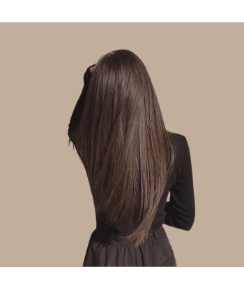 Straight Brown Clip-In Extension Single Band Maxi Volume meilleur choix